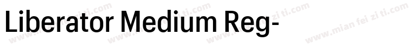 Liberator Medium Reg字体转换